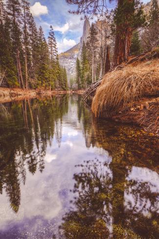 Photographic Print: Early Winter Reflections on Merced River, Yosemite California by Vincent James: 24x16in