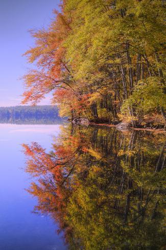 Photographic Print: Autumn Pond Reflections, New Hampshire by Vincent James: 24x16in