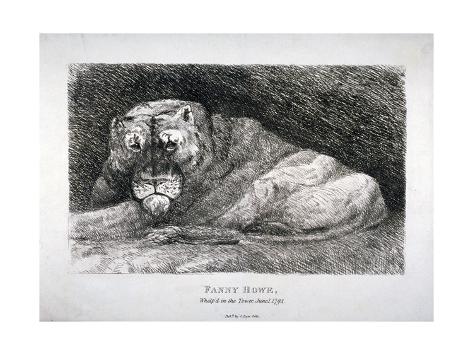 Giclee Print: Fanny Howe, Whelp'D in the Tower, 1794: 24x18in