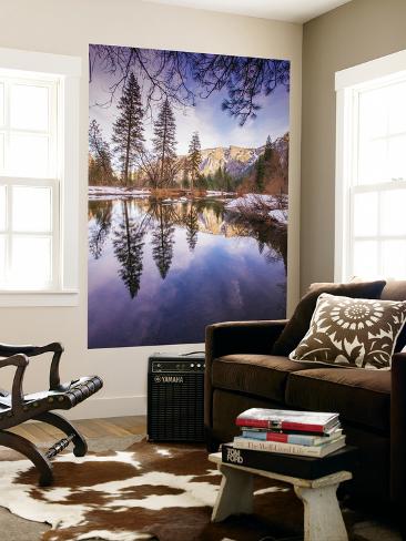 Wall Mural: Winter Reflections in Yosemite Valley by Vincent James: 72x48in