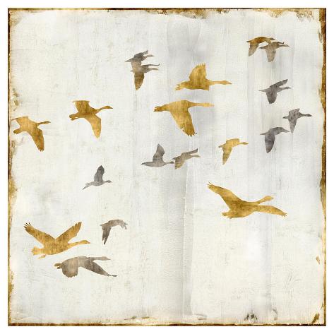 Giclee Print: Golden Flight II by Nick Spencer: 42x42in