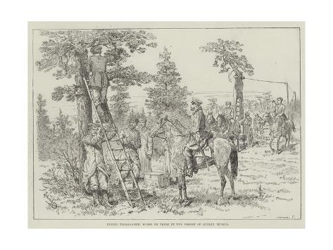 Giclee Print: Fixing Telegraphic Wires on Trees in the Forest of Lublin, Russia by Johann Nepomuk Schonberg: 24x18in