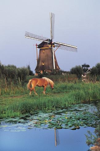 Photographic Print: 18th Century Windmill: 24x16in