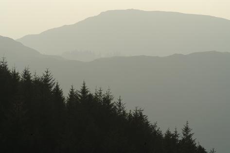 Photographic Print: Mountains and Conifers Silhouetted in Sunrise Light: 24x16in