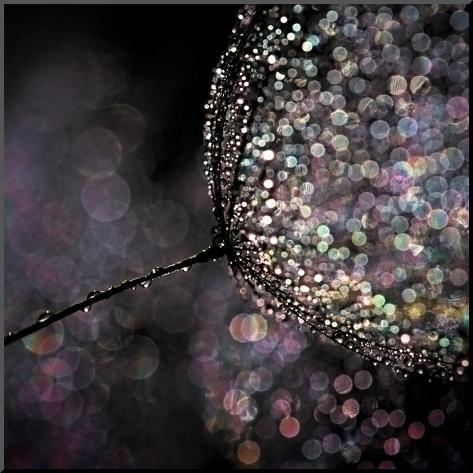 Mounted Photo: Chandelier by Ursula Abresch: 30x30in