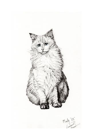 Giclee Print: Monty '22',2015 by Vincent Alexander Booth: 24x16in
