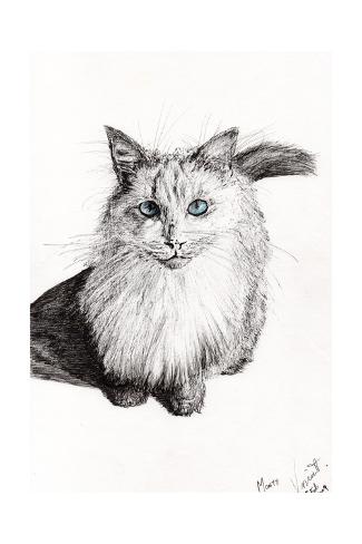 Giclee Print: Monty, 2009 by Vincent Alexander Booth: 24x16in