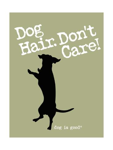 Art Print: Dog Hair Dont Care by Dog is Good: 24x18in