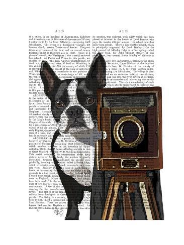 Art Print: Boston Terrier Photographer by Fab Funky: 12x9in