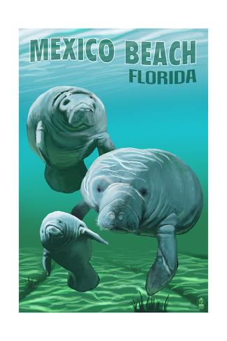 Art Print: Mexico Beach, Florida - Manatees by Lantern Press: 24x16in