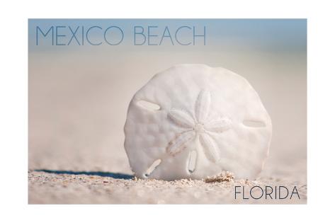 Art Print: Mexico Beach, Florida - Sand Dollar and Beach by Lantern Press: 24x16in