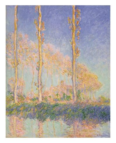 Art Print: Poplars (Autumn), 1891 by Claude Monet: 27x22in