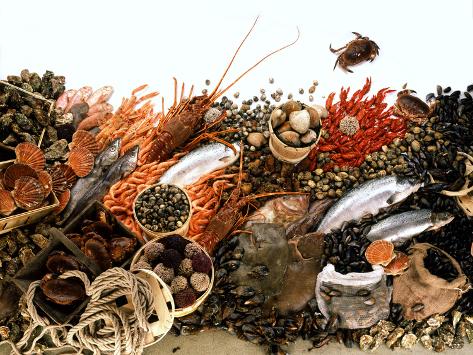 Photographic Print: Fish and Seafood Still Life (Symbolic Picture) by Rauzier-Riviere: 24x18in