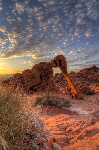 Photographic Print: USA, Nevada, Clark County. Valley of Fire State Park. Elephant Rock by Brent Bergherm: 24x16in