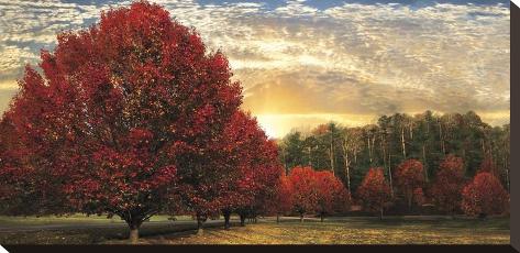 Stretched Canvas Print: Crimson Trees by Celebrate Life Gallery: 12x24in