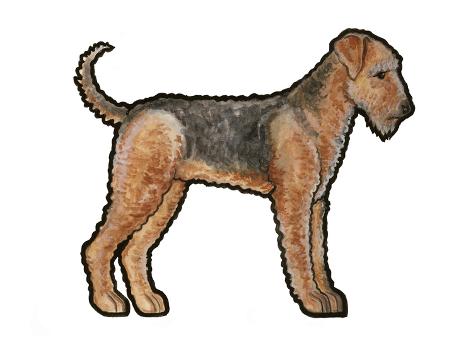 Art Print: Airedale by Sally Pattrick: 12x16in