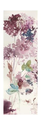 Art Print: Sweet Hydrangea IV by Asia Jensen: 36x12in