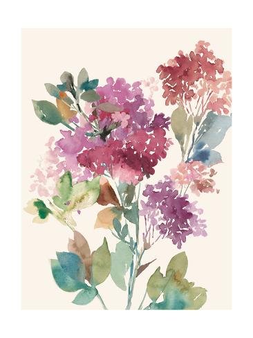 Art Print: Sweet Hydrangea I by Asia Jensen: 24x18in