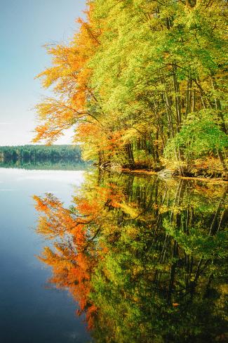 Photographic Print: Fall Color Reflections ay Holderness New Hampshire, New England by Vincent James: 24x16in