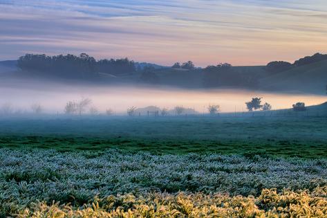 Photographic Print: Petaluma Farm Land and First Light, Sonoma, San Francisco Bay Area by Vincent James: 24x16in