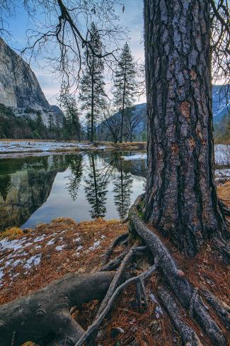 Photographic Print: Mid Winter Riverside, Yosemite Reflections, National Parks by Vincent James: 24x16in