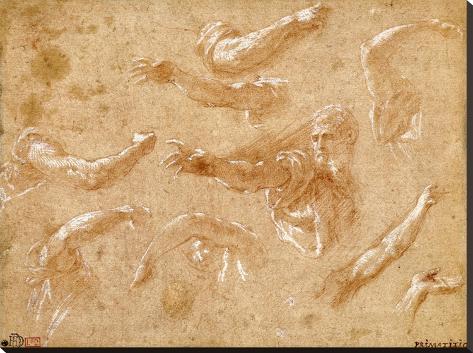 Stretched Canvas Print: Study of God the Father with Angels by Francesco Primaticcio: 30x40in