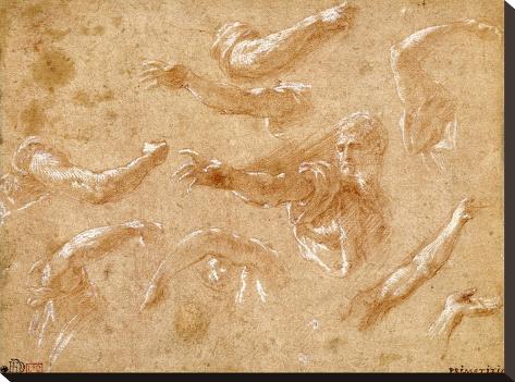 Stretched Canvas Print: Study of God the Father with Angels by Francesco Primaticcio: 18x24in