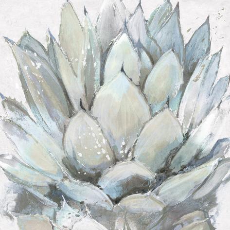 Giclee Print: Cereus Echeveria by Tania Bello: 16x16in