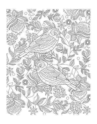 Coloring Poster: Two Partridges In A Tree Design Coloring Art: 56x44in