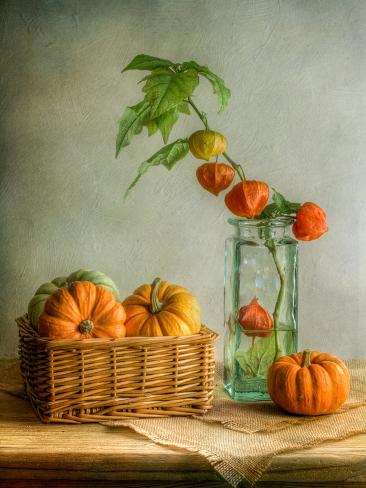 Photographic Print: Autumn by Mandy Disher: 24x18in