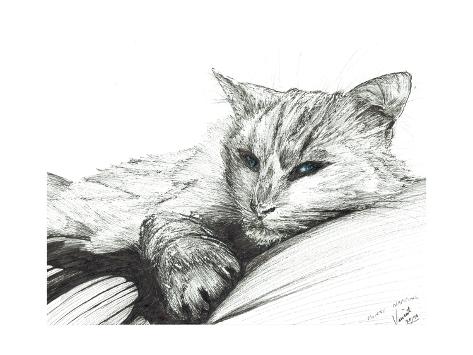 Giclee Print: Monty, Napping, 2016 by Vincent Alexander Booth: 24x18in