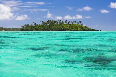 Photographic Print: Motu Taakoka Island in Muri Lagoon, Rarotonga, Cook Islands, South Pacific, Pacific by Matthew Williams-Ellis: 24x16in