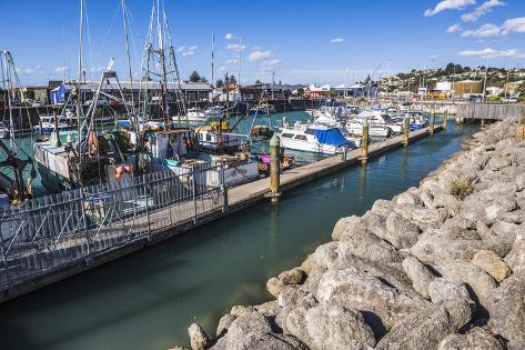 Photographic Print: Sailing Boats in Napier Harbour, Hawkes Bay Region, North Island, New Zealand, Pacific by Matthew Williams-Ellis: 24x16in