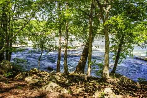 Photographic Print: Spring on the River I by Alan Hausenflock: 24x16in