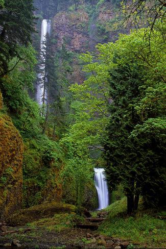 Photographic Print: Multnomah Falls Spring by Ike Leahy: 24x16in