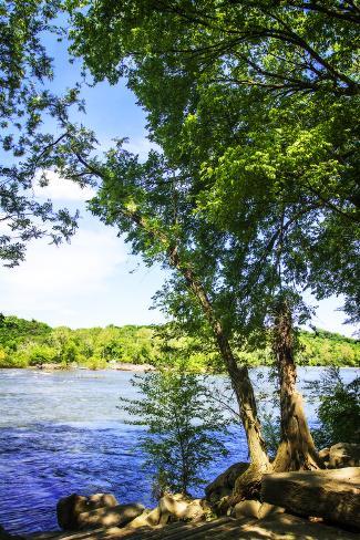 Photographic Print: Spring on the River III by Alan Hausenflock: 24x16in