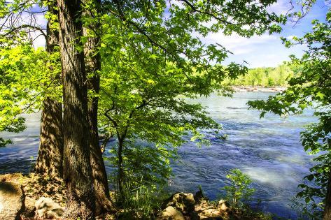 Photographic Print: Spring on the River II by Alan Hausenflock: 24x16in