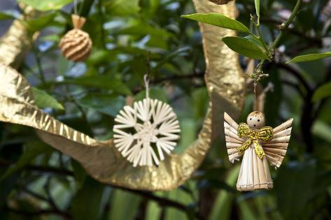 Photo: Gold and Natural Corn Christmas Decorations on Citrus Lemon Tree by Richard Bryant: 24x16in