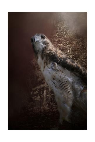 Giclee Print: Chickasaw Redtail by Jai Johnson: 24x16in