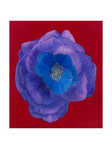 Premium Giclee Print: Purple by Susan Jeschke: 24x18in