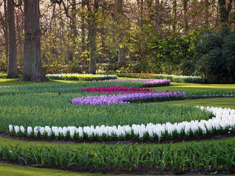 Photographic Print: Woodland Spring Garden with Hyacinth by Anna Miller: 24x18in