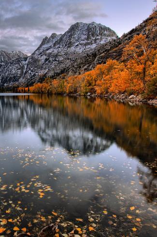 Photographic Print: Autmn Reflections at Silver Lake, June Lake, Eastern Sierras California by Vincent James: 12x8in