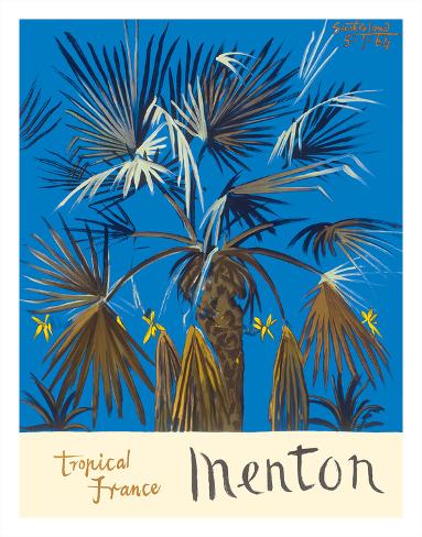 Giclee Print: Menton - Tropical France - Palm Tree by Graham Sutherland: 14x11in