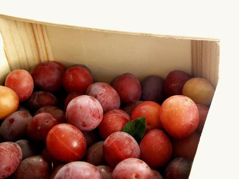 Photographic Print: Burbank Plums in a Wooden Crate by Foodcollection: 24x18in