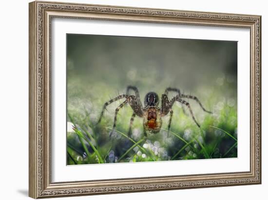 I Am Back to You-Erwin Astro-Framed Photographic Print