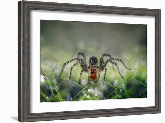 I Am Back to You-Erwin Astro-Framed Photographic Print