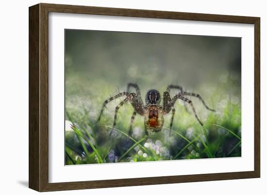 I Am Back to You-Erwin Astro-Framed Photographic Print