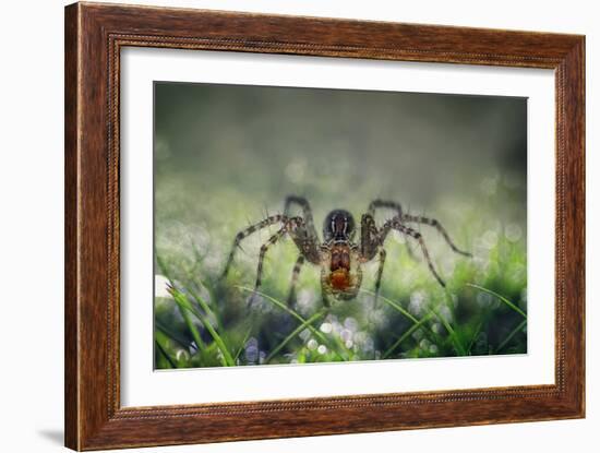 I Am Back to You-Erwin Astro-Framed Photographic Print