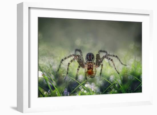 I Am Back to You-Erwin Astro-Framed Photographic Print