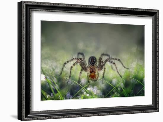 I Am Back to You-Erwin Astro-Framed Photographic Print